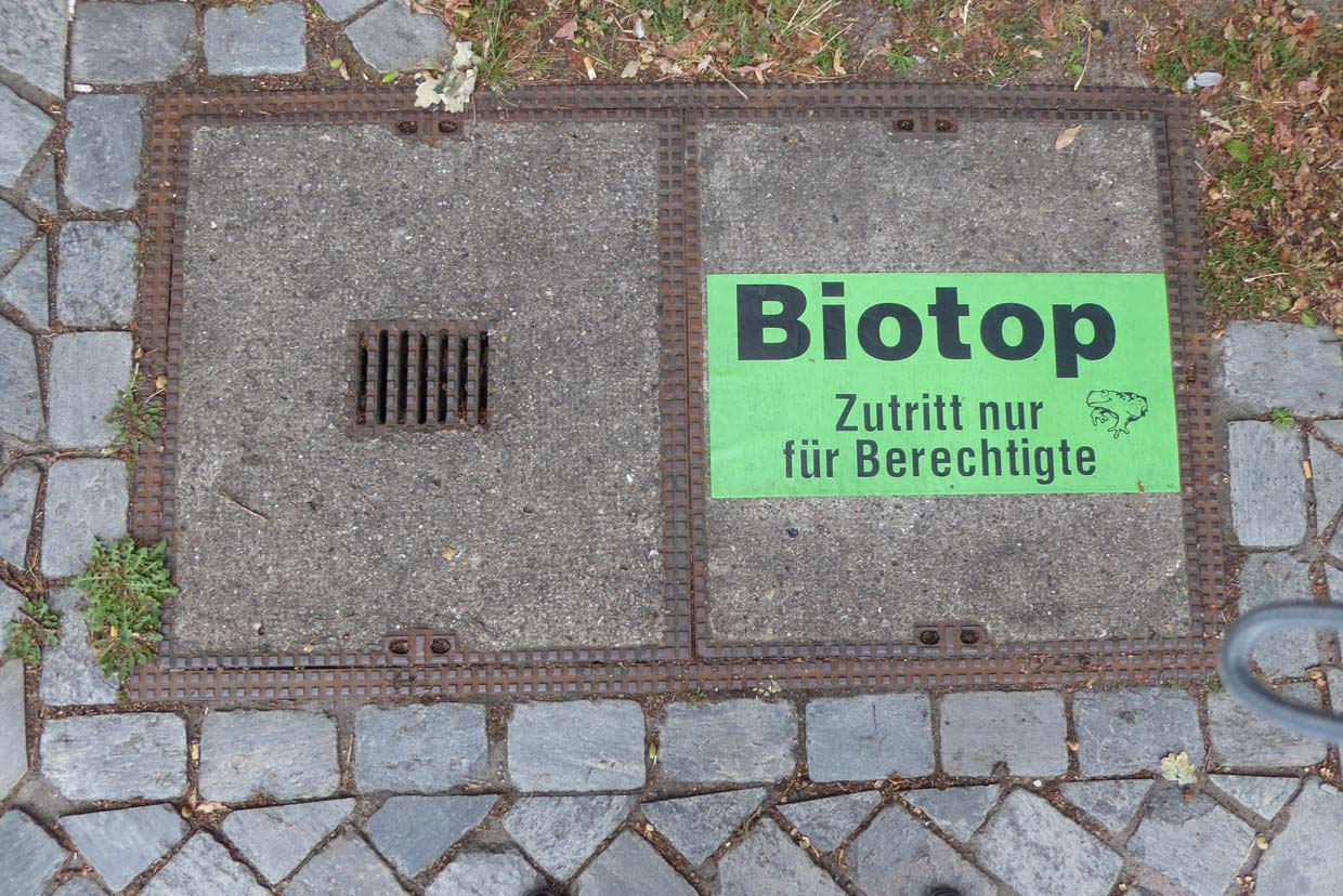 Astrid Clasen Biotop